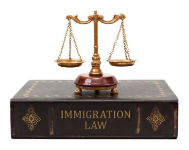 Immigration-law